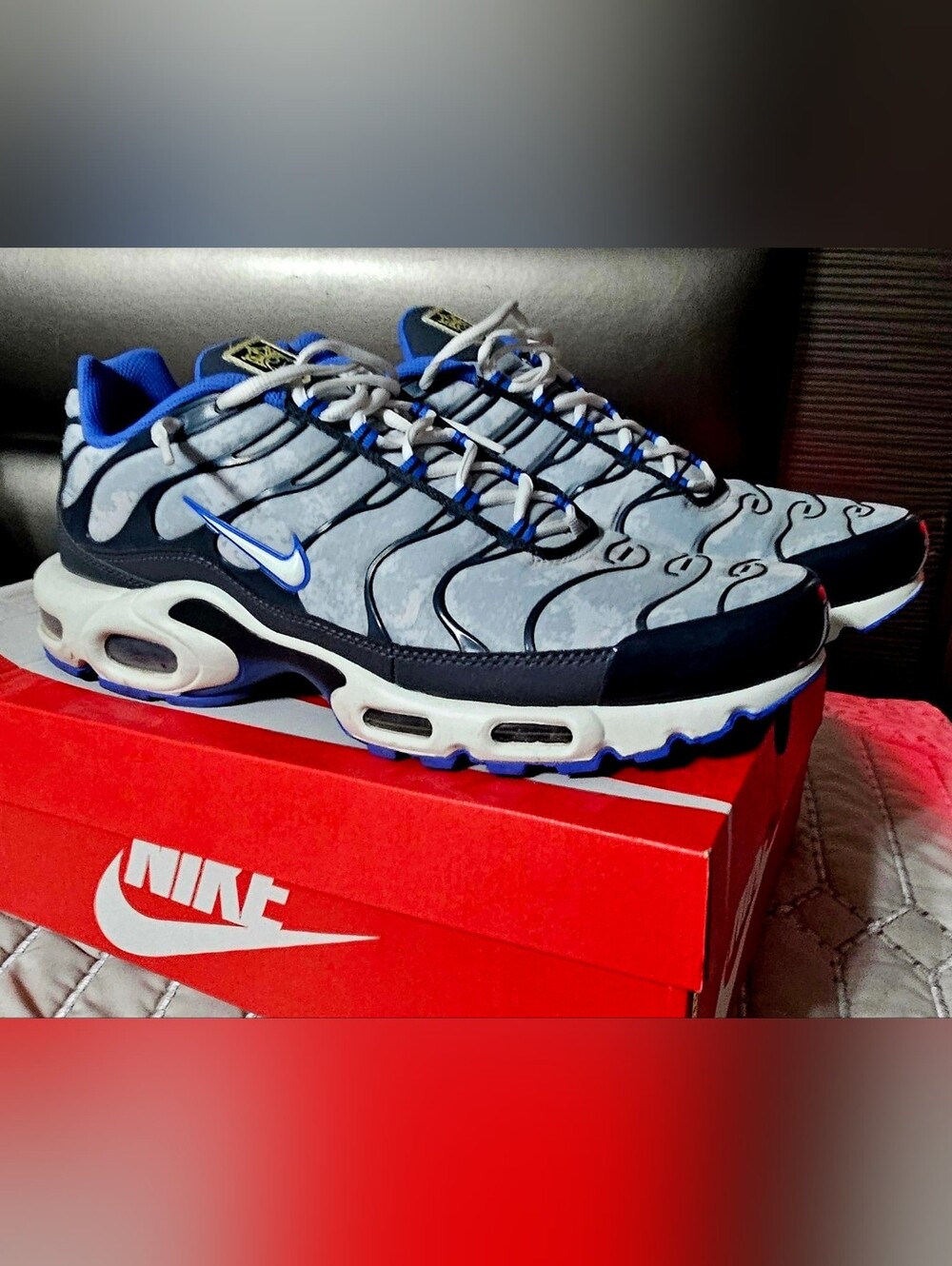 Nike Grey and Blue Air Max Plus TN Sneakers